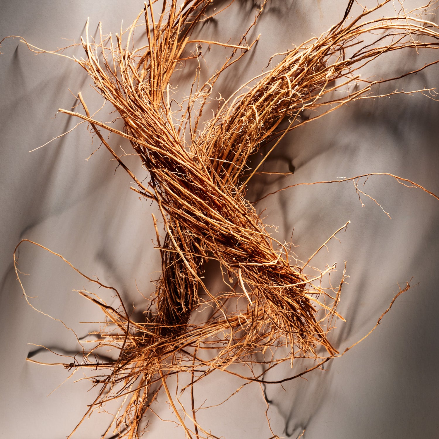 Brown twigs on a gray background