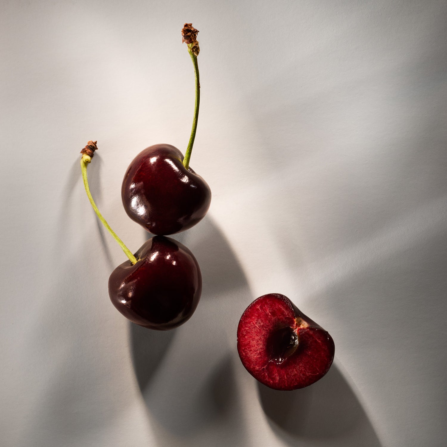 Two cherries on a light gray background