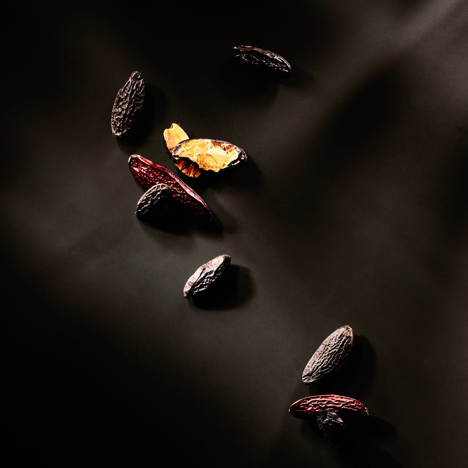 Dried berries on a dark surface with a spotlight effect