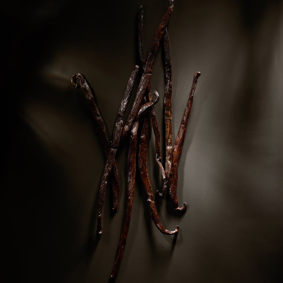 Vanilla beans on a dark background