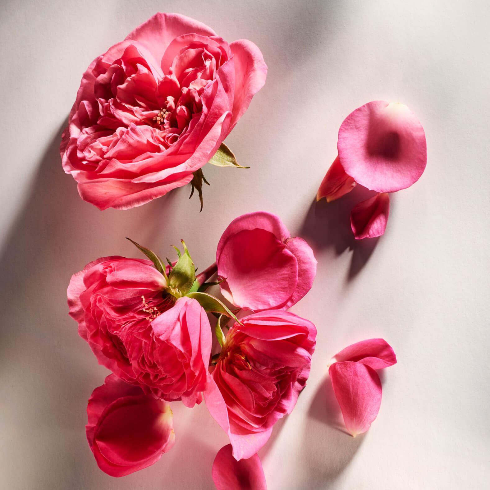 Fragrance & Perfume | Victoria Beckham Beauty